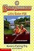 Karen's Haunted House (Baby-Sitters Little Sister #90)