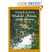 Wonderful Alexander and the Catwings: A Catwings Tale