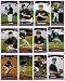 2006 Topps Toronto Blue Jays Baseball Cards Complete Team Set (25 cards)