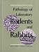 Books : Pathology of Laboratory Rodents and Rabbits