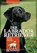Image of Labrador Retriever: Charakter Erziehung Gesundheit