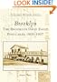 Brooklyn: Daily Eagle Postcards, 1905-1907 (Postcard History: New York)