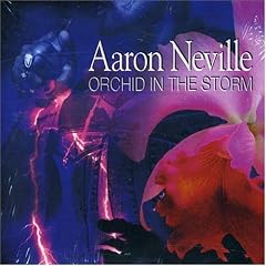Orchid in the Storm