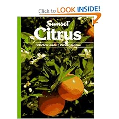 Citrus (Sunset Gardening)