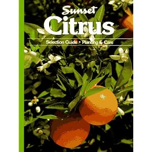 Citrus Selection Planting Sunset Gardening