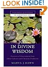 Joy in Divine Wisdom: Practices of Discernment from Other Cultures and Christian Traditions (Enduring Questions in Christian Life)