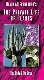 Private Life of Plants 3: Birds & Bees
