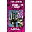 Buy Private Life of Plants 3: Birds and Bees