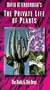 Private Life of Plants 3: Birds & Bees [VHS]