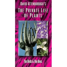 Private Life of Plants 3: Birds & Bees [VHS]