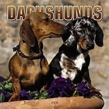 Dachshunds 2005 Wall Calendar