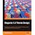 Magento 1.3 Theme Design