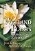 Wetland Plants: Biology and Ecology