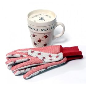 Ladybug Antibug & Gloves Gift Set
