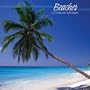 BEACHES 2010 Wall Calendar