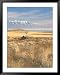 Abandoned Ranch Buildings above Great Salt Lake, Antelope Island State Park, Utah, USA Collections Framed Art Poster Print by Scott T. Smith, 39x49