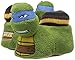 Nickelodeon Boy's Raphael Head Slipper-K, Green/Blue, 9/10 M US Toddler