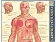 Trigger Points (Quickstudy: Academic)