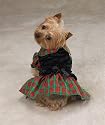 Small Special Occasion Velvet Tartan Holiday Dog Dress