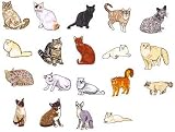 OESD Embroidery Machine Designs CD CATS 5