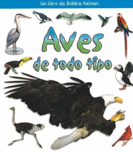 Aves de Todo Tipo (?Qui Tipo de Animal Es?) (Spanish Edition)