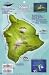 Franko's Hawaii The Big Island Reef Creatures by Frank Nielsen