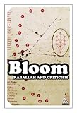 Kabbalah And Criticism (Continuum Impacts)
