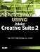 Books : Using Adobe Creative Suite 2