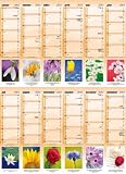 Produkt-Bild: Von Mir zu Dir 2011: Wandplaner mit Blumenfotos und Bibelversen