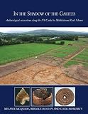 In the shadow of the Galtees : archaeological excavations along the N8 Cashel to Mitchelstown road scheme