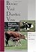 Bovine Viral Diarrhea Virus: Diagnosis, Management,and Control