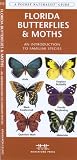 Florida Butterflies & Moths: An Introduction to Familiar Species (State Nature Guides)