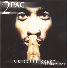 R U Still Down? (Remember Me)