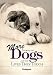 Search : More Stories Of Dogs and the Lives They Touch