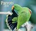 Parrots 2008 Calendar
