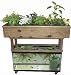 Aquaponic System Farm in a Box - Grand Cayman