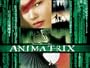 The Animatrix