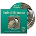 Birds of Minnesota Audio CDs: Companion to the Bird of Minnesota Field Guide