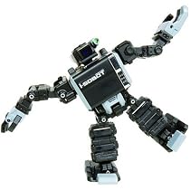 Tomy I-Sobot