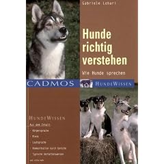 Hunde richtig verstehen: Wie Hunde sprechen