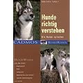 Hunde richtig verstehen: Wie Hunde sprechen