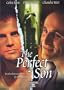 The Perfect Son