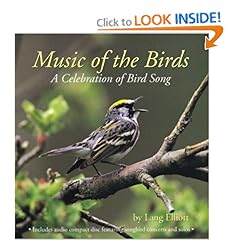 Music of the Birds