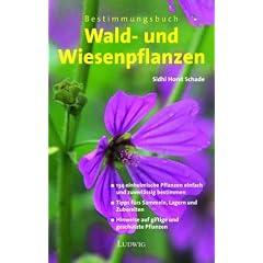 Bestimmungsbuch Wald- und Wiesenpflanzen