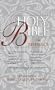 KJV Holy Bible Reference Silver Edition