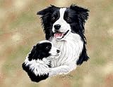 Border Collie and Puppy Woven Lap Square (Throw Blanket)