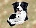 Border Collie and Puppy Woven Lap Square (Throw Blanket)