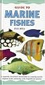 An Interpet Guide to Marine Fishes (Fishkeeper's Guides)