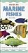An Interpet Guide to Marine Fishes (Fishkeeper's Guides)