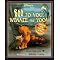 Playful Halloween Stories for Kids